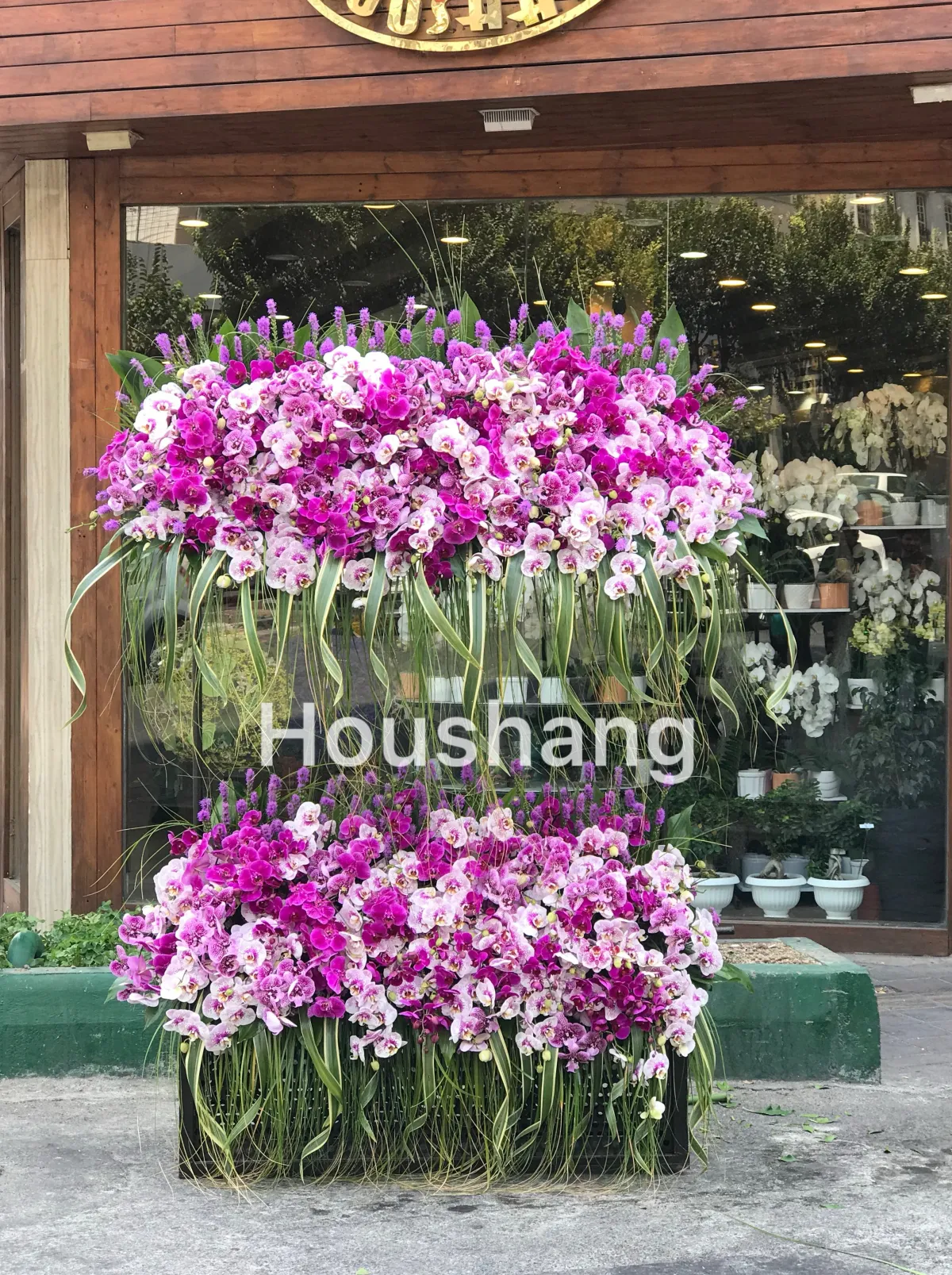 استند دو تیکه ارکید