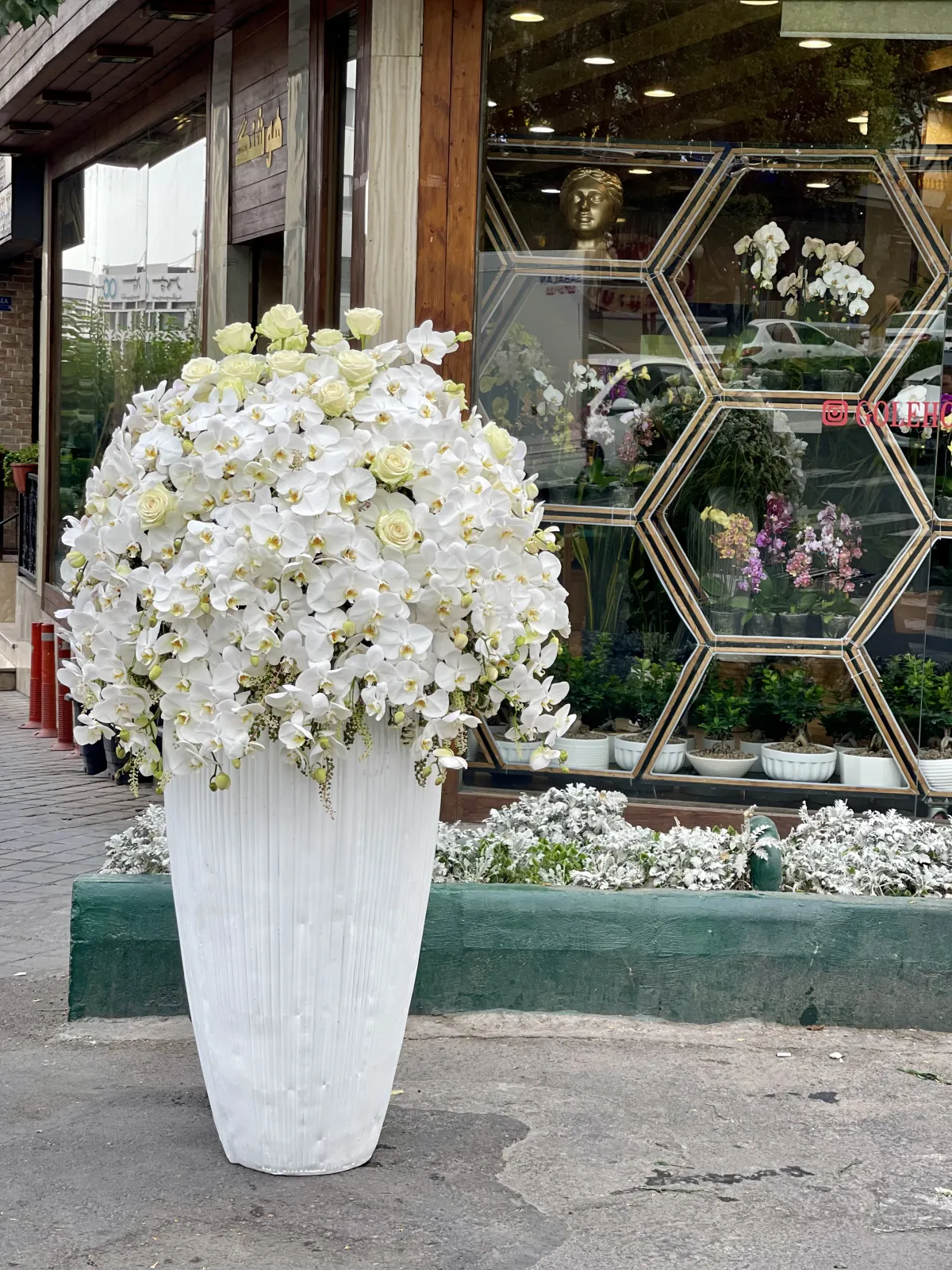 ظرف فانتزی 1003