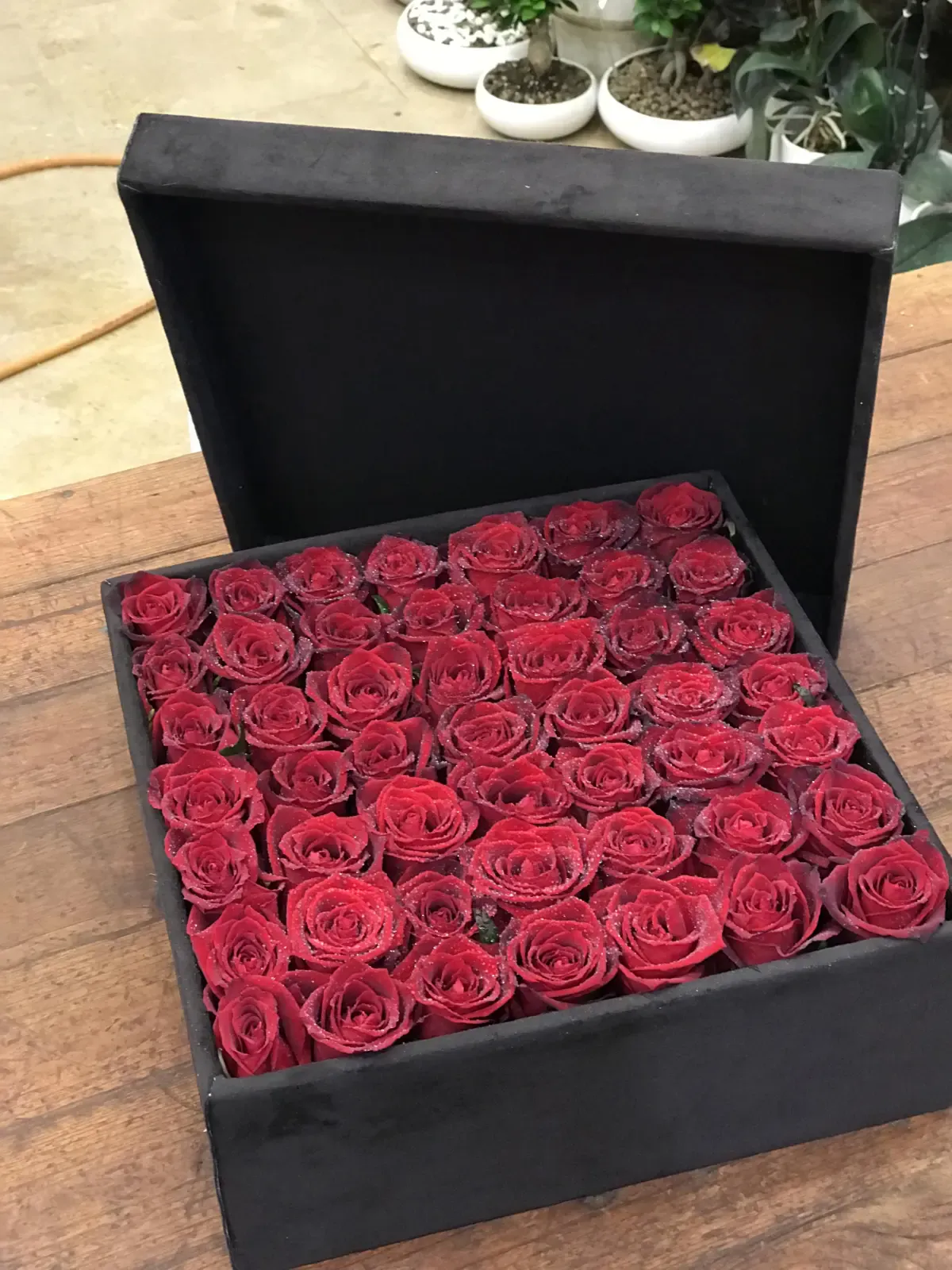 باکس رز 1004