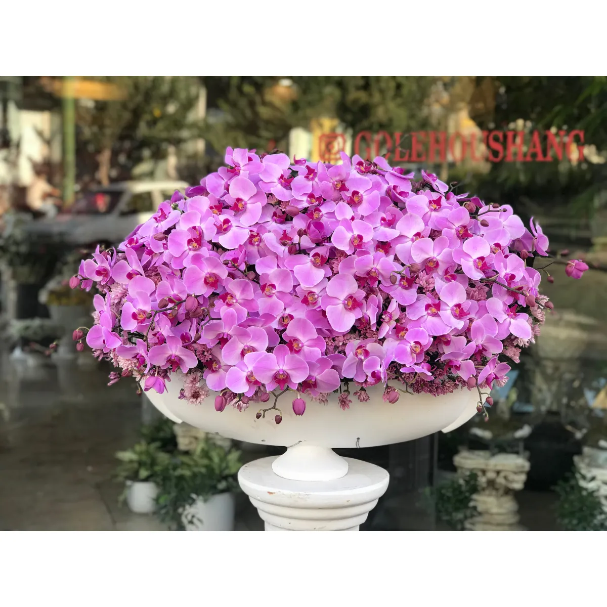 ظرف گل 1004