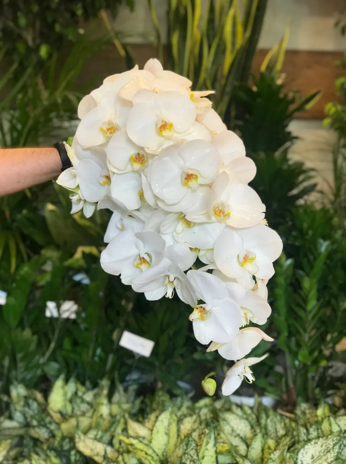 دسته گل عروس 1003