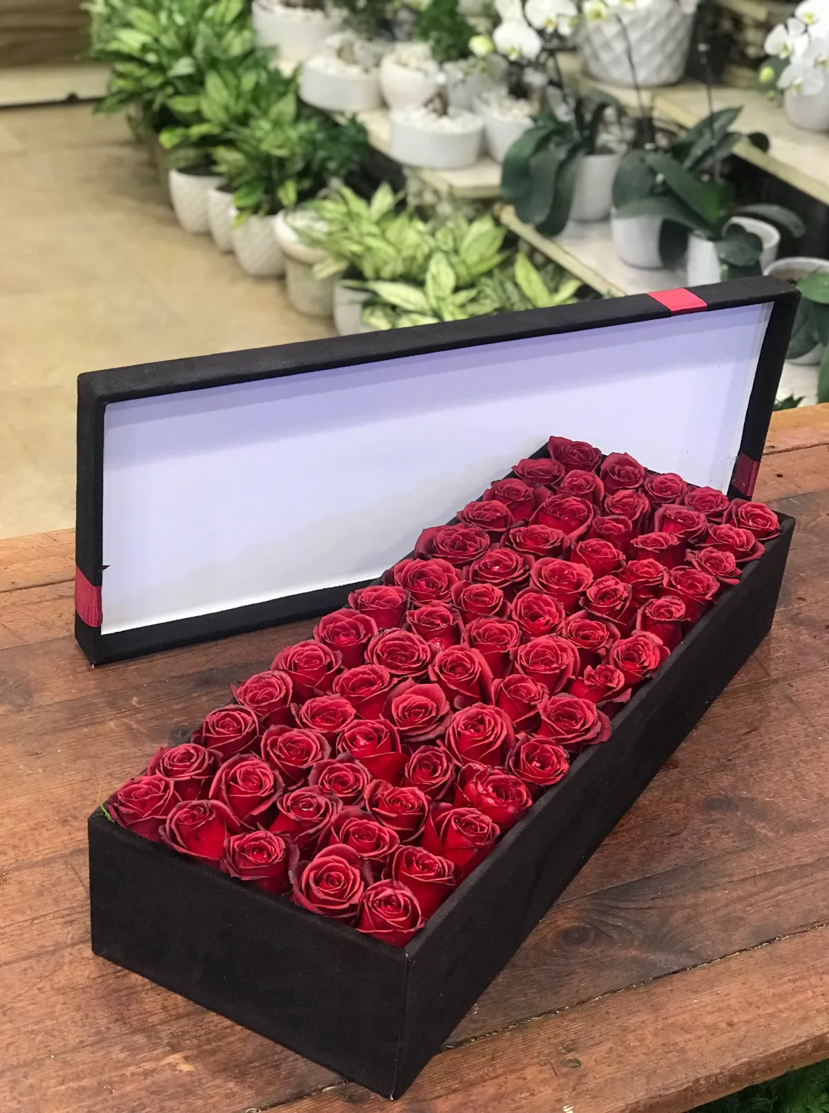 باکس رز 1003