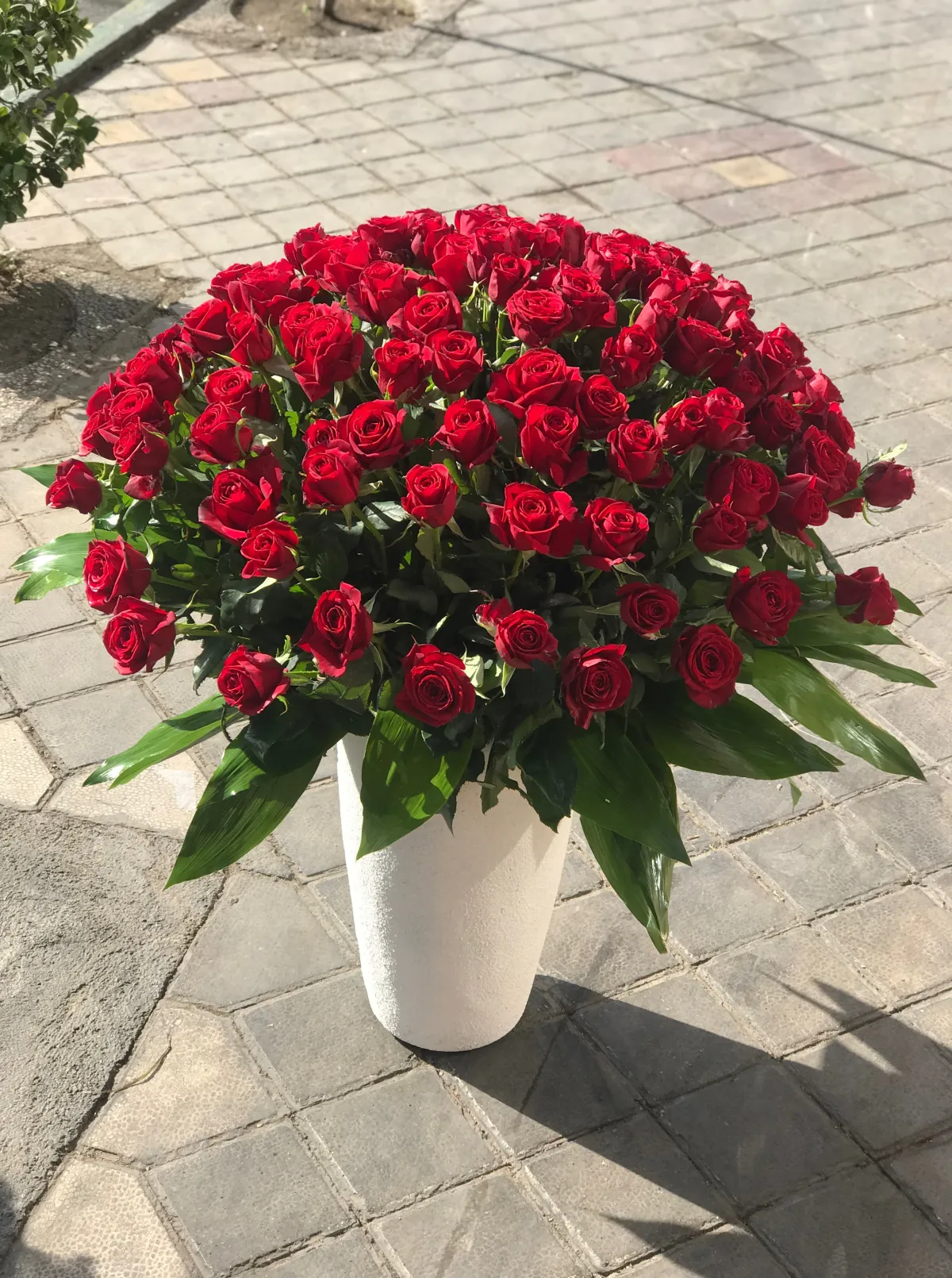 ظرف فایبرگلس و رز 1001