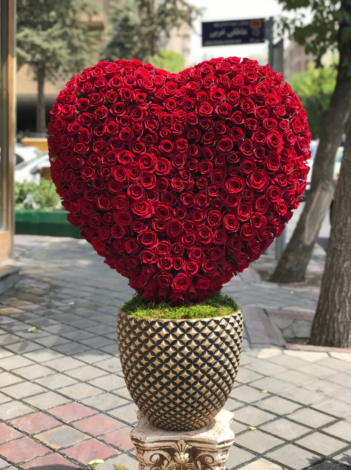 استند رز قلب ۱۰۰۲